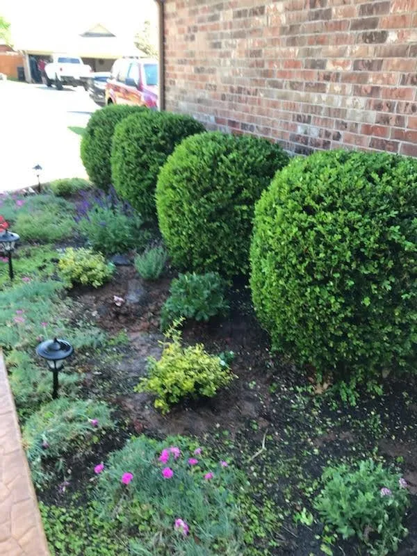 Top-rated garden landscaping in Oklahoma City, OK - Grayhams Landscaping and Lawn Maintenance
