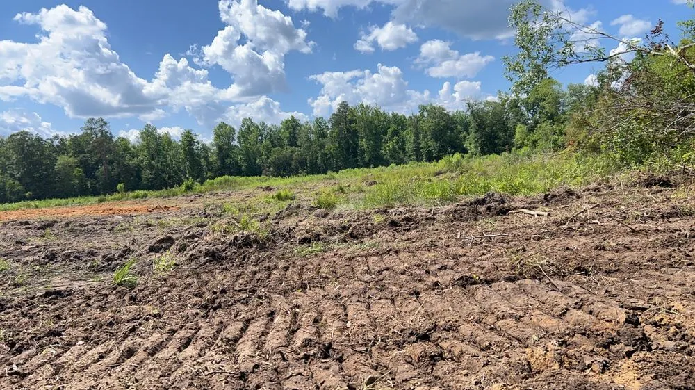 Professional outdoor landscaping near you across Verbena, AL - Grays Dirt work Land clearing