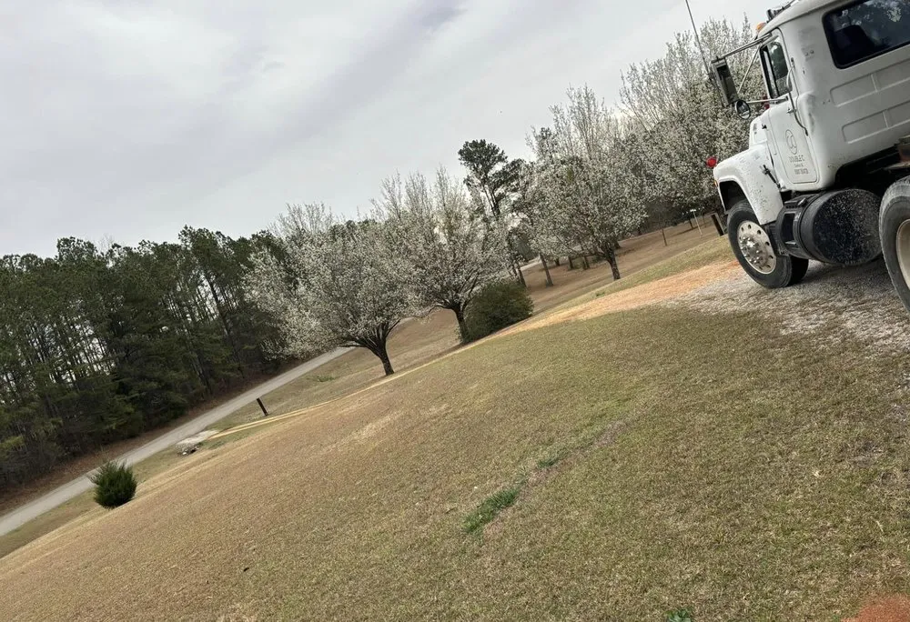 Custom landscape installation for beautiful yards across Verbena, AL - Grays Dirt work Land clearing