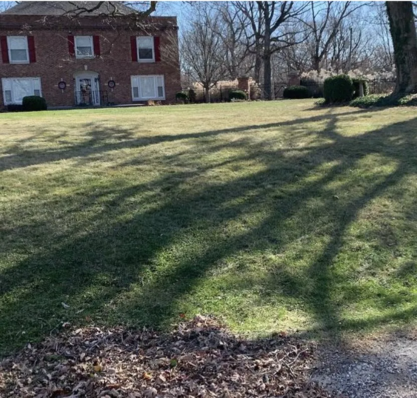 Reliable residential landscaping experts serving Washington, IL - Gray's Groundskeeping