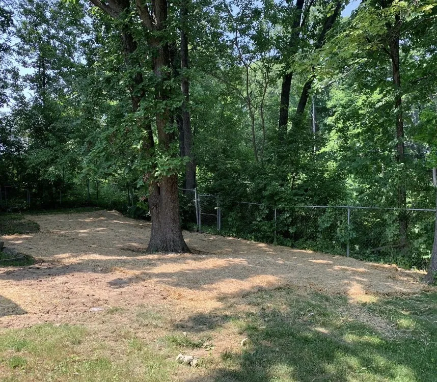 Top-rated lawn care service in Washington, IL by Gray's Groundskeeping