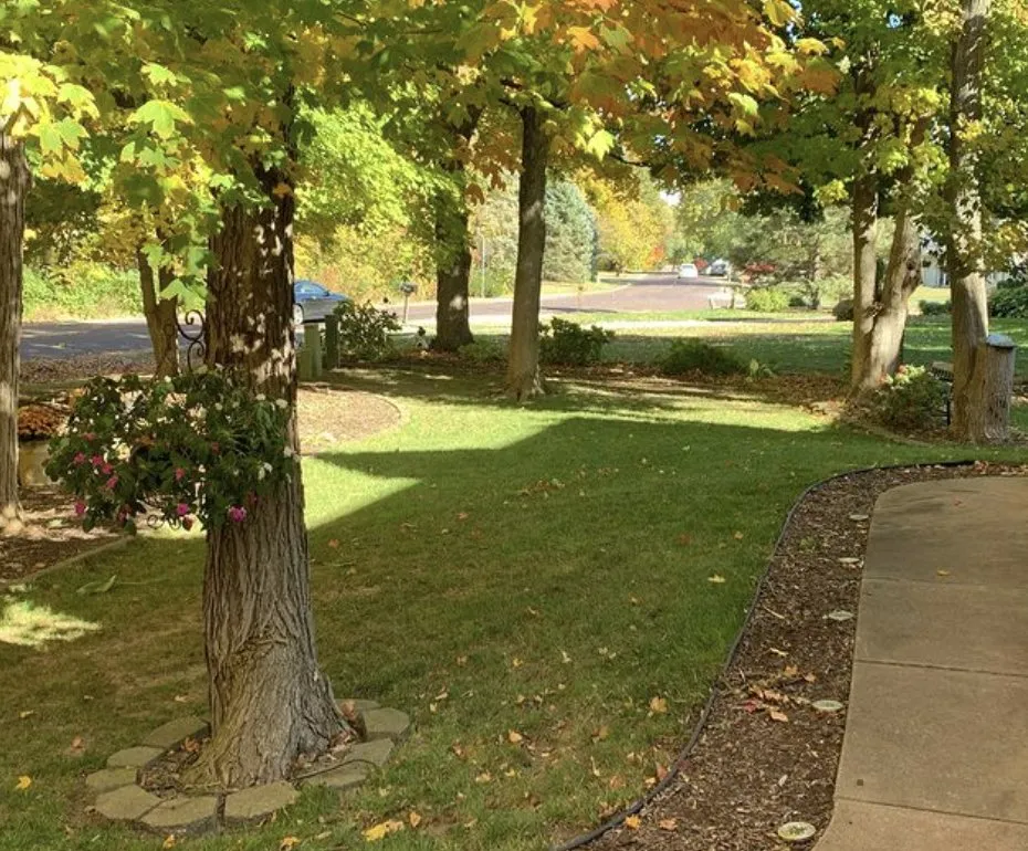 Trusted landscape design for outdoor upgrades across Washington, IL - Gray's Groundskeeping