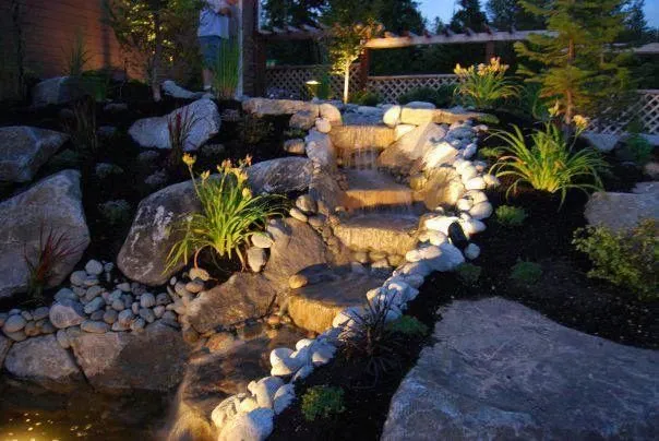 Expert yard maintenance near you in Duvall, WA by Gray's Landscaping