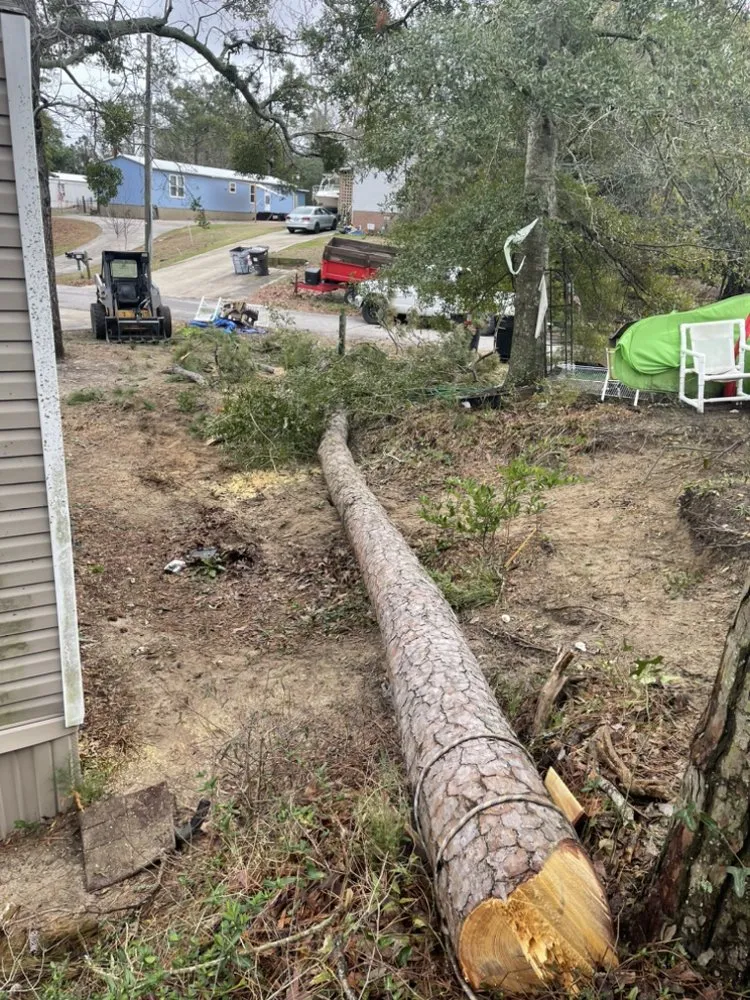 Local lawn care service for outdoor upgrades in Manteo, NC by Grays Landscaping