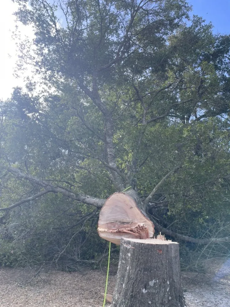 Trusted landscape design in Manteo, NC by Grays Landscaping