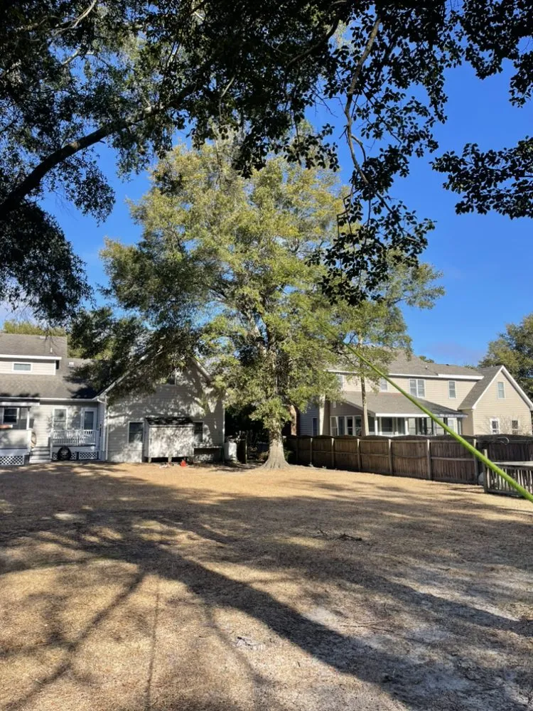 Professional yard maintenance in Manteo, NC by Grays Landscaping