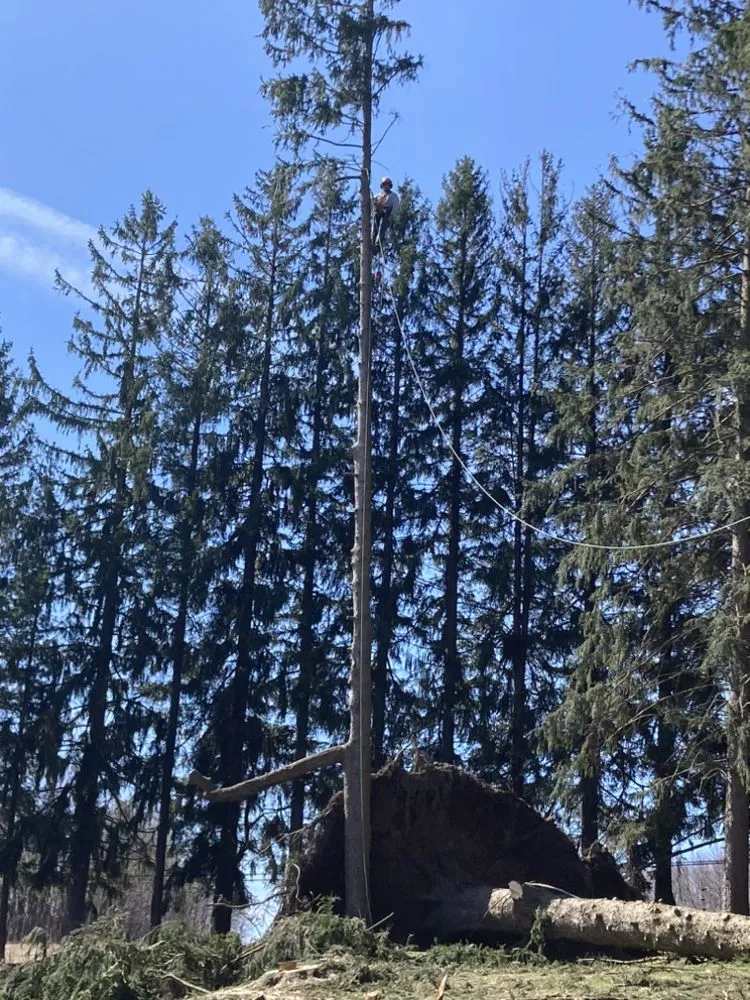 Trusted lawn mowing service for residential properties across Manteo, NC - Grays Landscaping