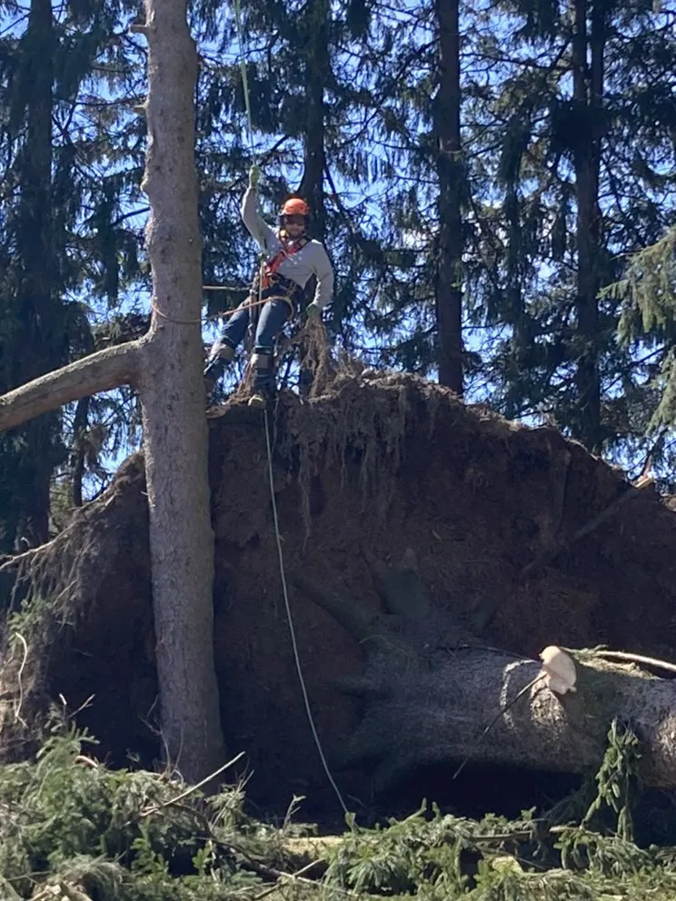 Trusted landscape installation with custom design across Manteo, NC - Grays Landscaping