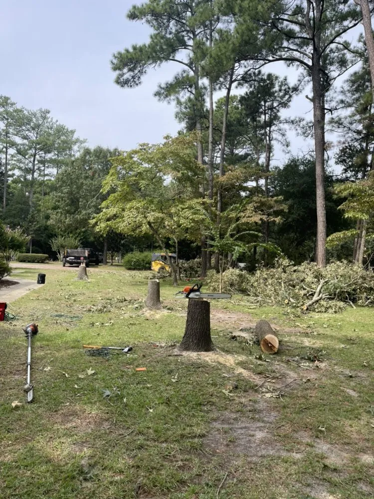 Local residential landscaping for residential properties in Manteo, NC by Grays Landscaping