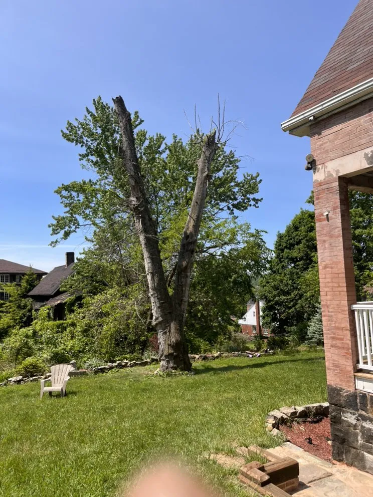 Professional yard cleanup service for residential properties across Pittsburgh, PA - Gray’s Landscaping