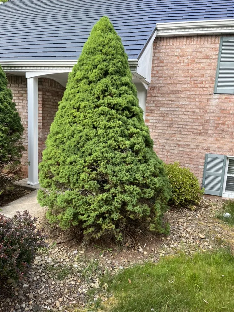 Trusted residential landscaping in Pittsburgh, PA by Gray’s Landscaping