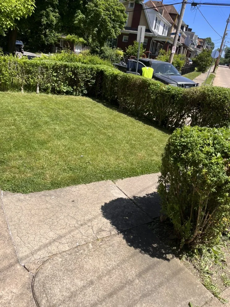 Top-rated landscaping services for beautiful yards across Pittsburgh, PA - Gray’s Landscaping