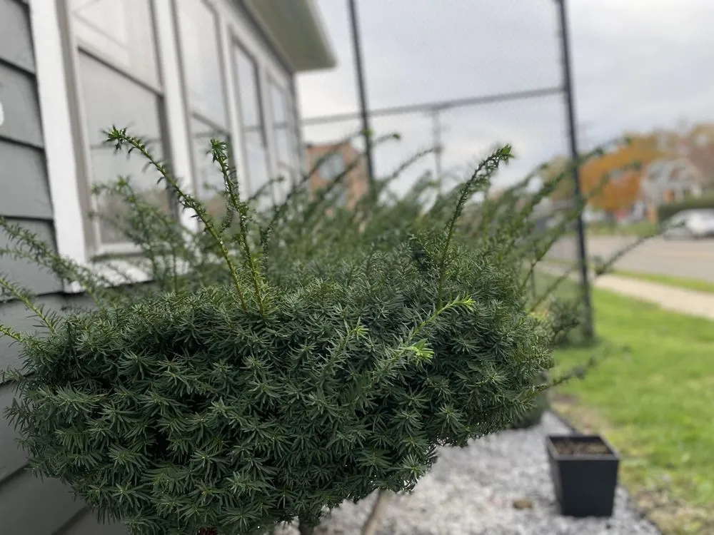 Top-rated landscape installation experts serving Buffalo, NY - Gray’s Lawn Care & Landscaping