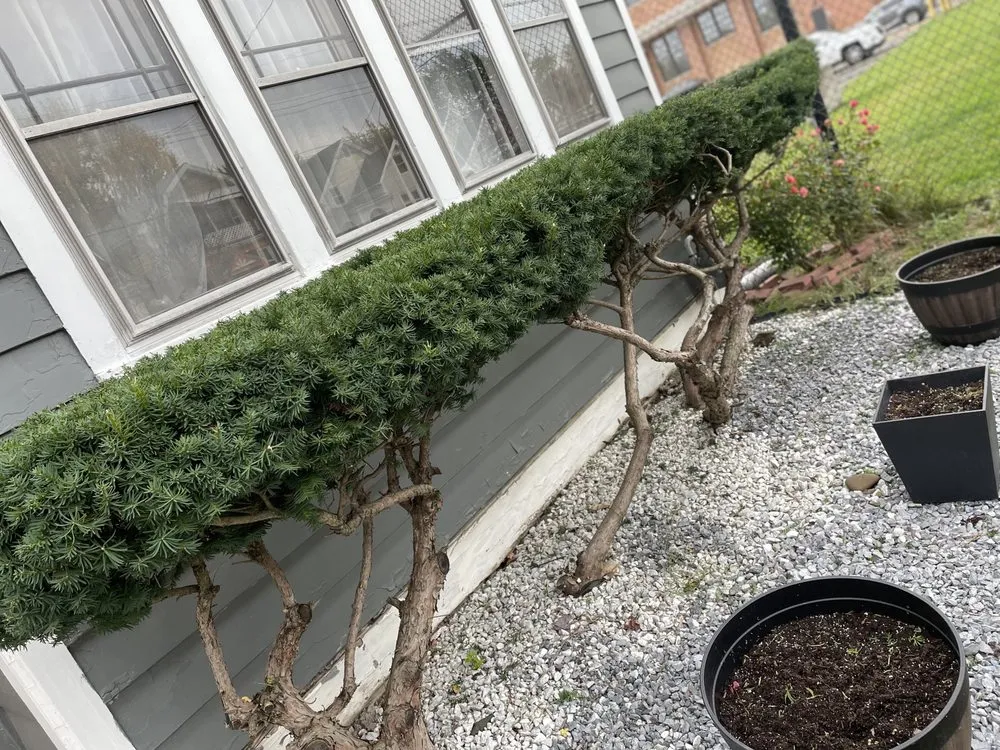 Trusted yard maintenance in Buffalo, NY by Gray’s Lawn Care & Landscaping