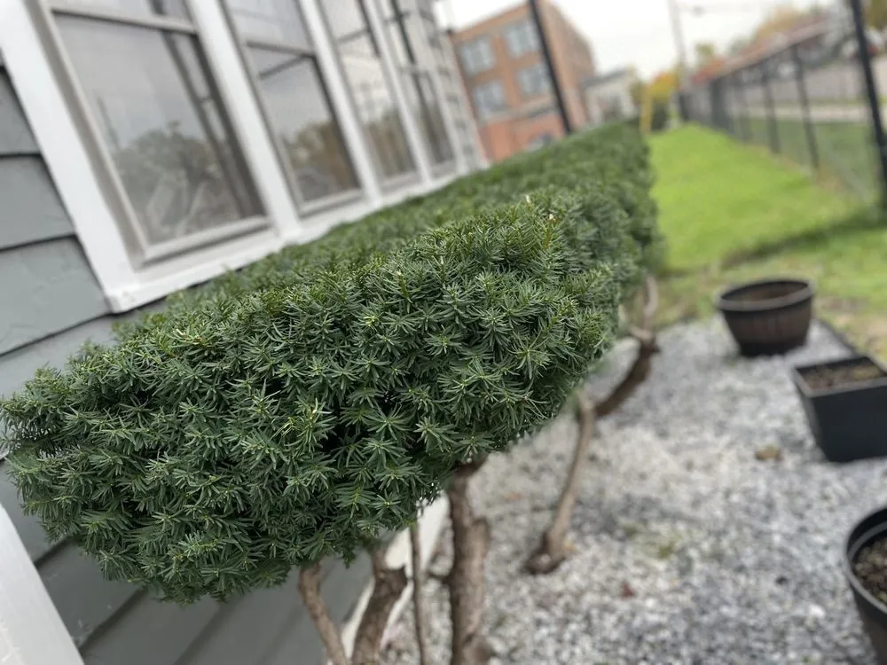 Trusted landscaping services experts serving Buffalo, NY - Gray’s Lawn Care & Landscaping