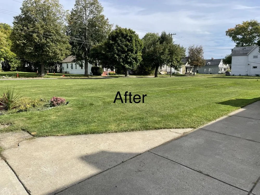 Local landscape installation for outdoor upgrades in Buffalo, NY by Gray’s Lawn Care & Landscaping