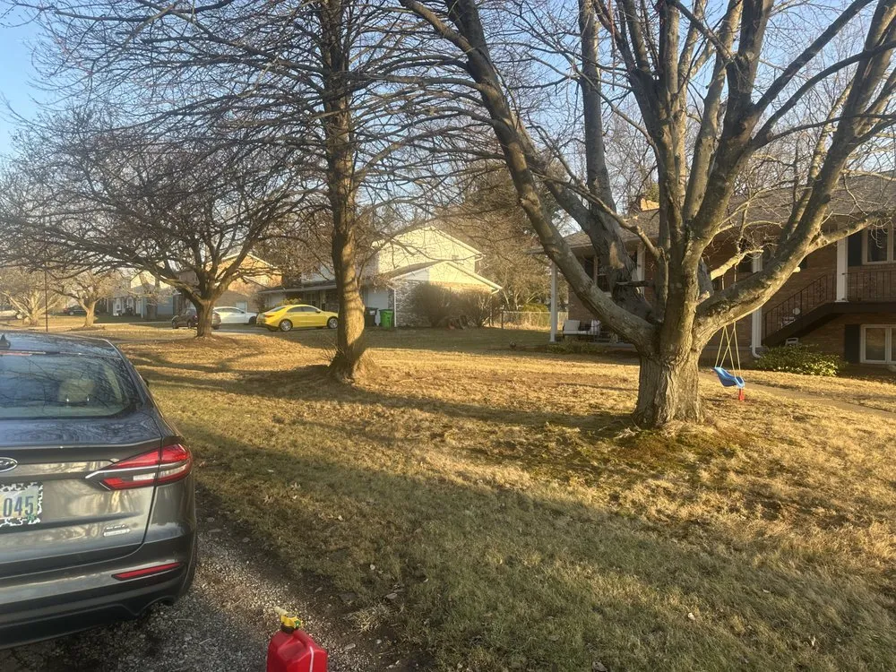 Reliable outdoor landscaping in Massillon, OH by Grays Lawn Care And Pressure Washing