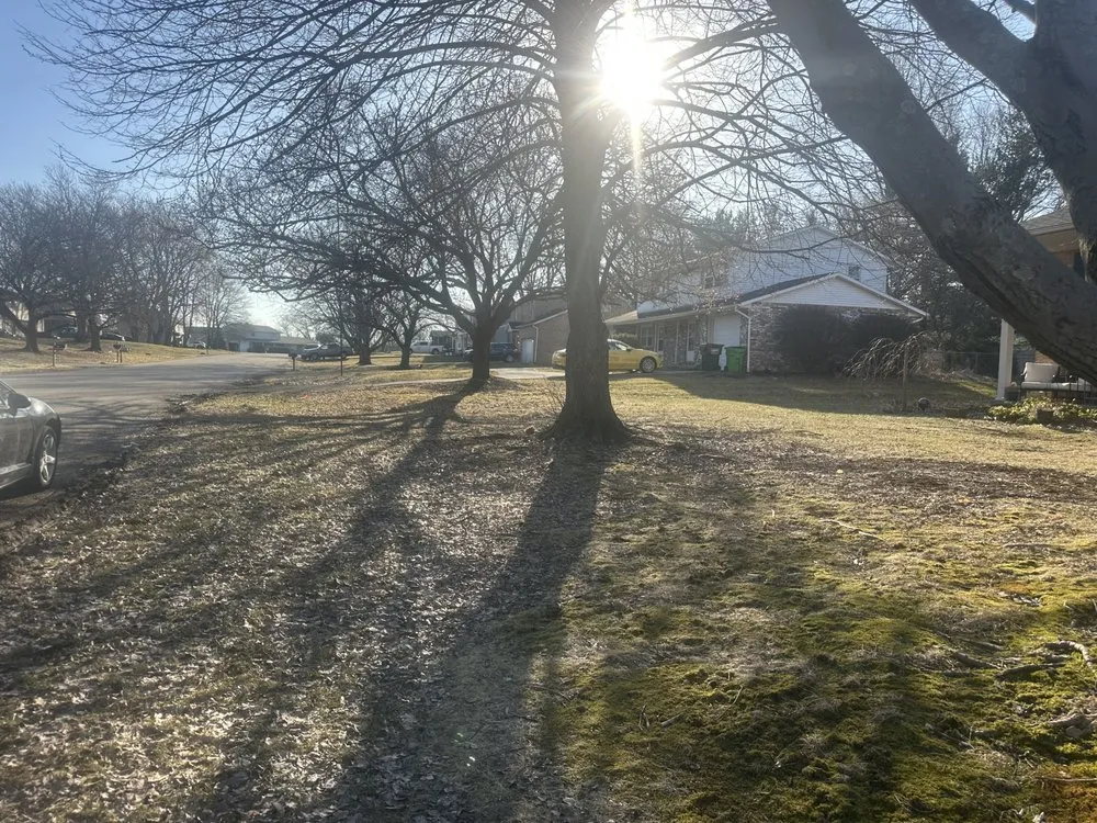 Local landscape installation near you in Massillon, OH by Grays Lawn Care And Pressure Washing