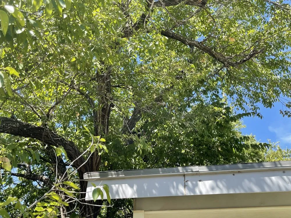 Custom lawn care service in Lawton, OK - Gray's Lawn Care Service and Home Repair