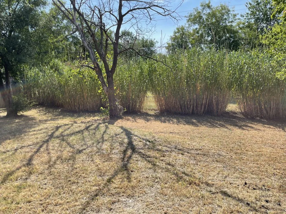 Affordable landscape design experts serving Lawton, OK - Gray's Lawn Care Service and Home Repair