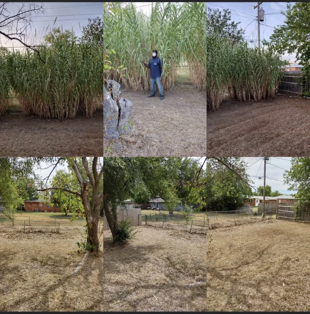 Expert yard maintenance in Lawton, OK - Gray's Lawn Care Service and Home Repair