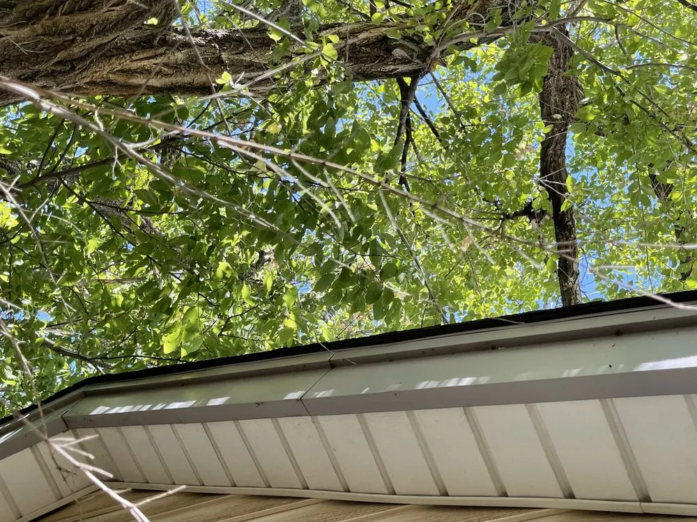 Professional landscape installation in Lawton, OK - Gray's Lawn Care Service and Home Repair