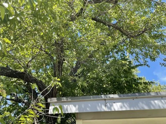 Gray's Lawn Care Service and Home Repair Logo