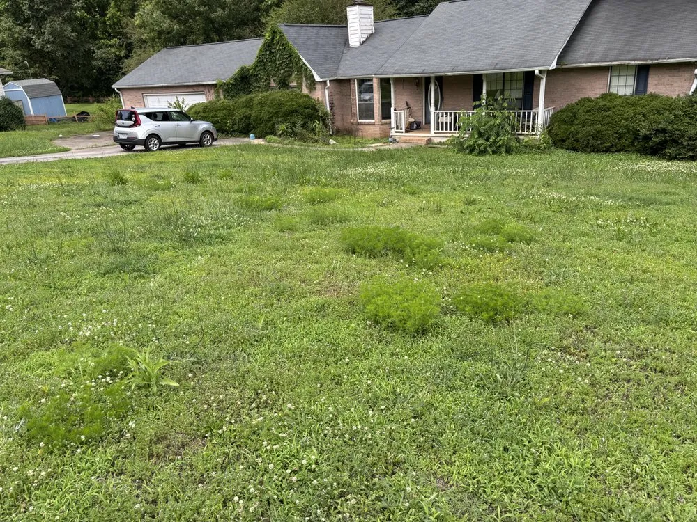 Top-rated landscape design for outdoor upgrades in Gainesville, GA by Grays Local Landscape