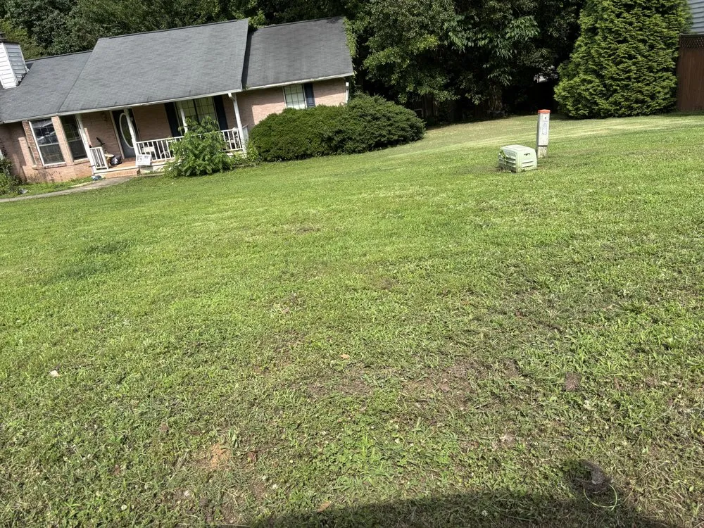 Expert lawn care service experts serving Gainesville, GA - Grays Local Landscape