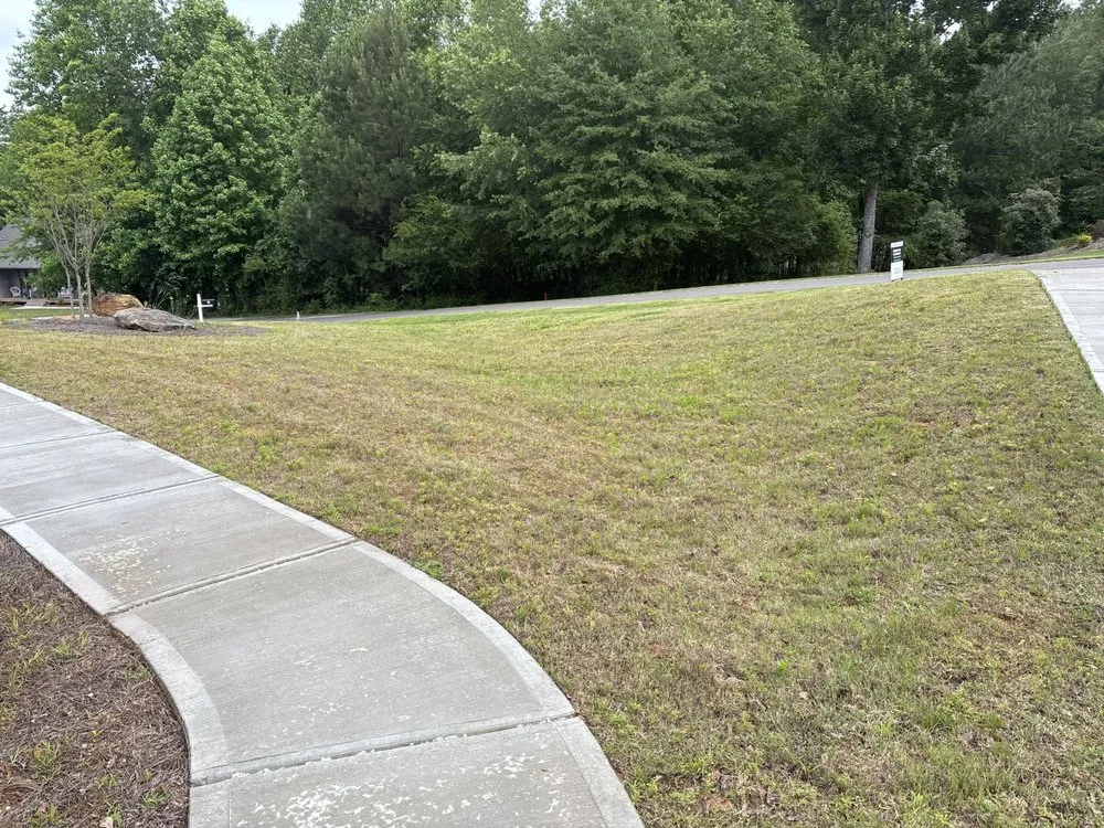 Professional landscape installation in Gainesville, GA by Grays Local Landscape