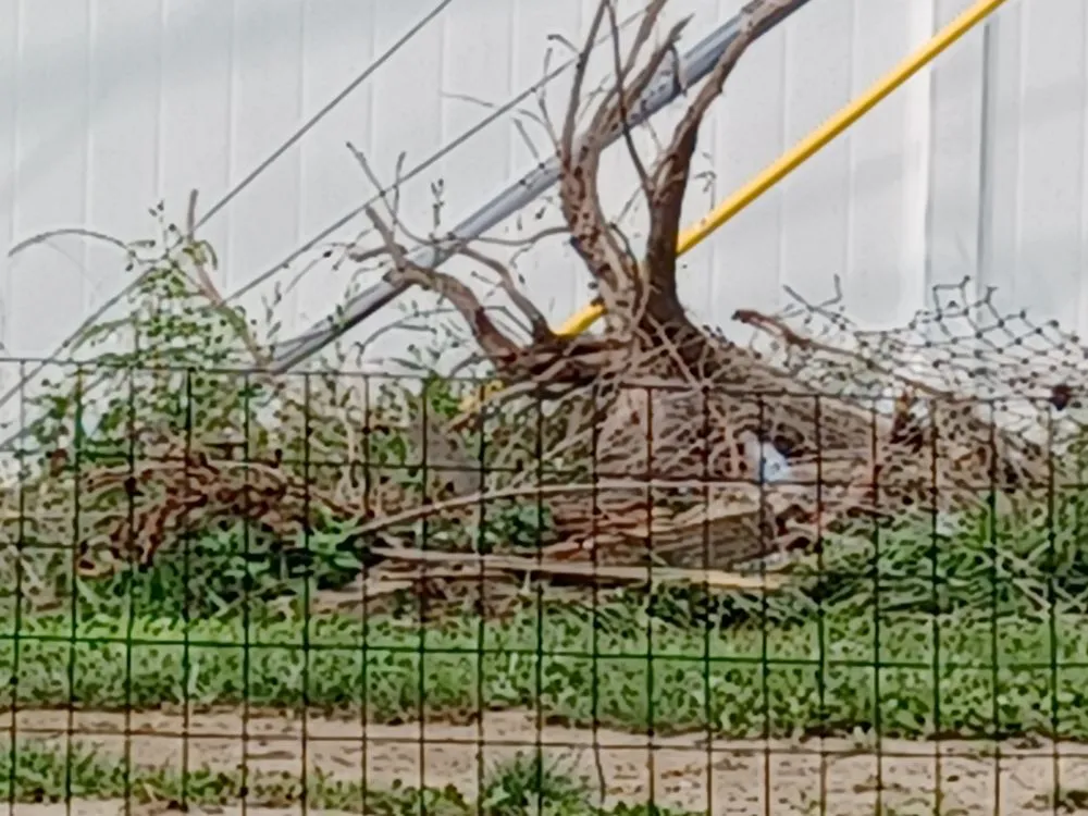 Trusted yard maintenance for year-round maintenance across Garden City, MI - Gray's Outdoor Services