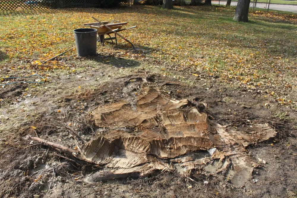 Expert lawn care service for beautiful yards across Garden City, MI - Gray's Outdoor Services