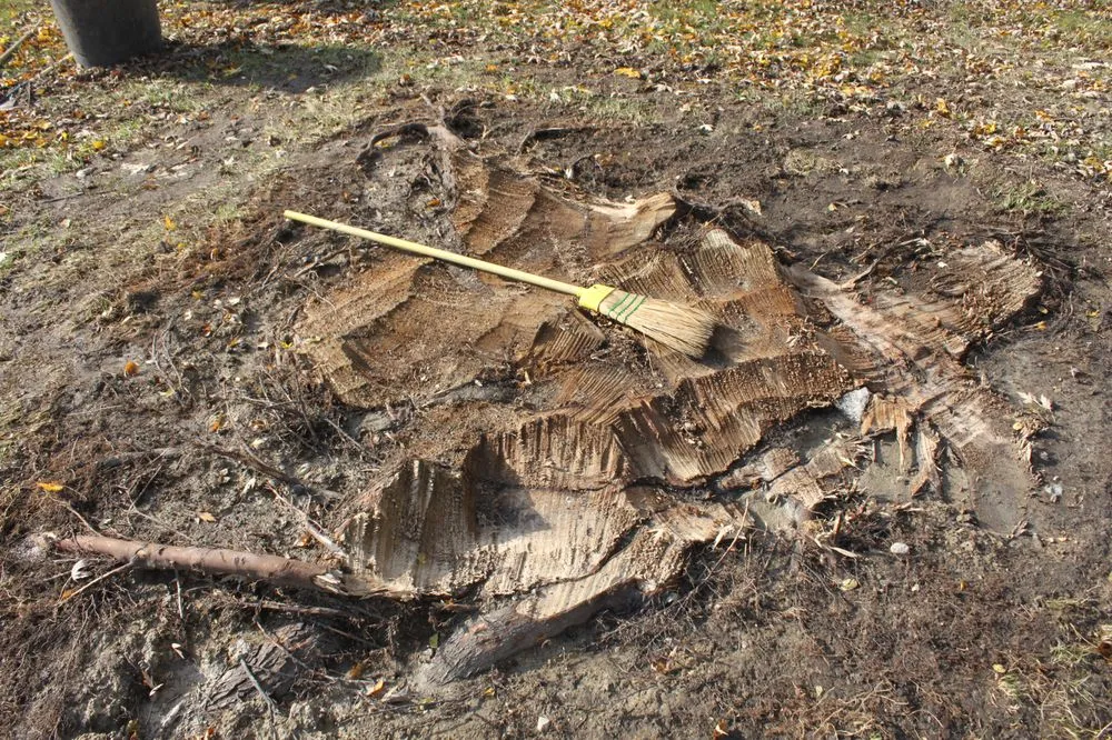 Reliable landscape design near you in Garden City, MI by Gray's Outdoor Services