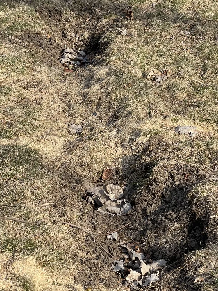 Local yard maintenance in Garden City, MI - Gray's Outdoor Services