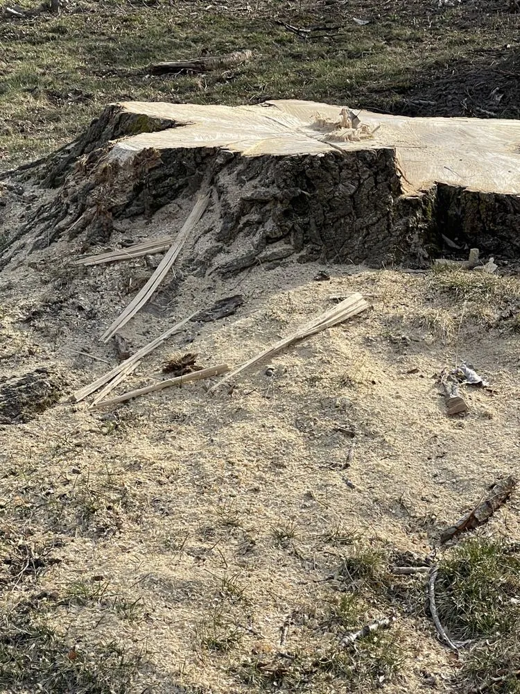 Top-rated residential landscaping in Garden City, MI - Gray's Outdoor Services