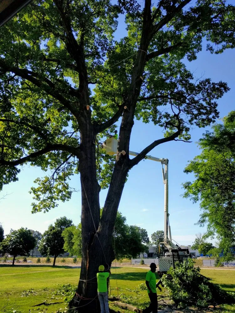 Local garden landscaping near you in Garden City, MI by Gray's Outdoor Services