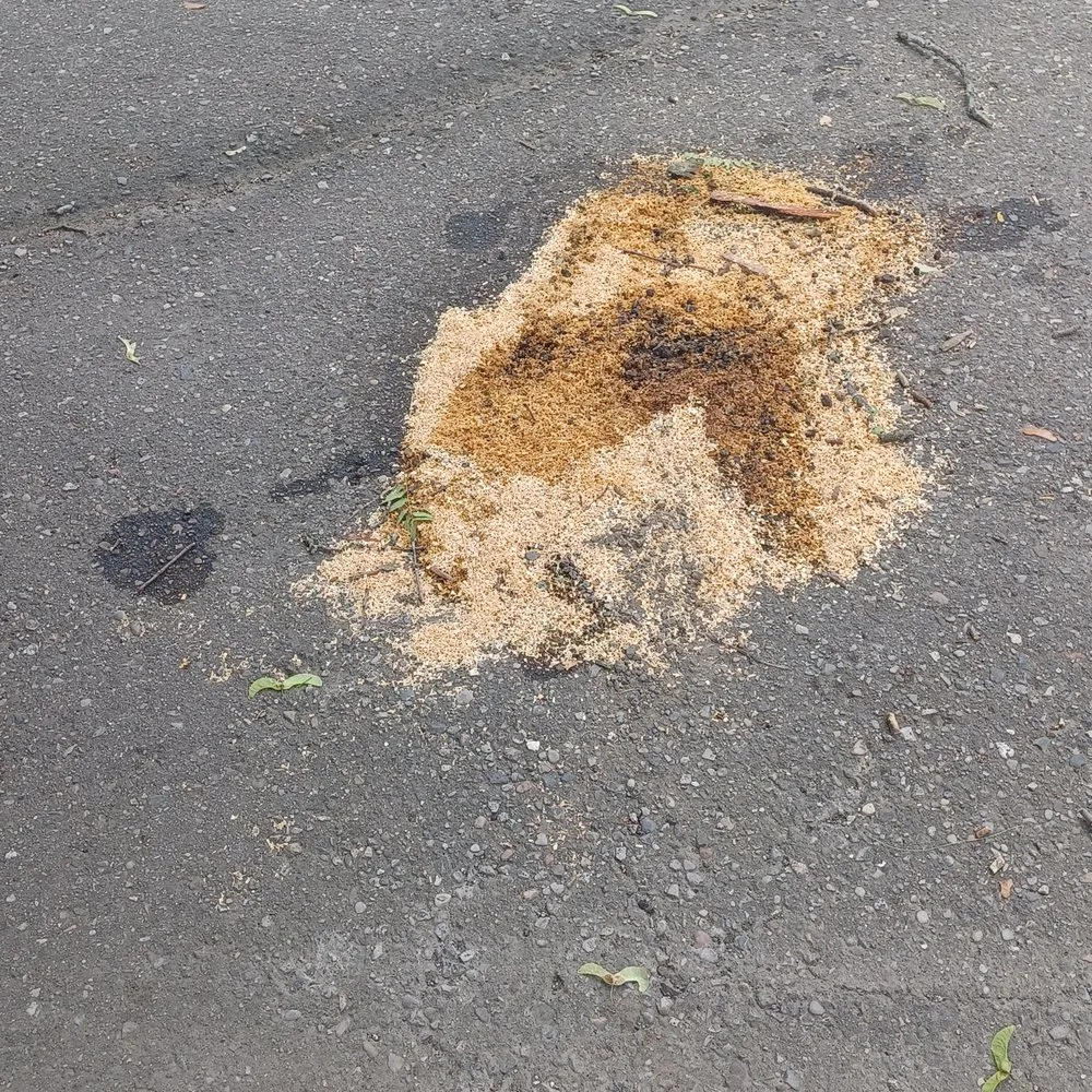 Trusted landscape installation experts serving Garden City, MI - Gray's Outdoor Services