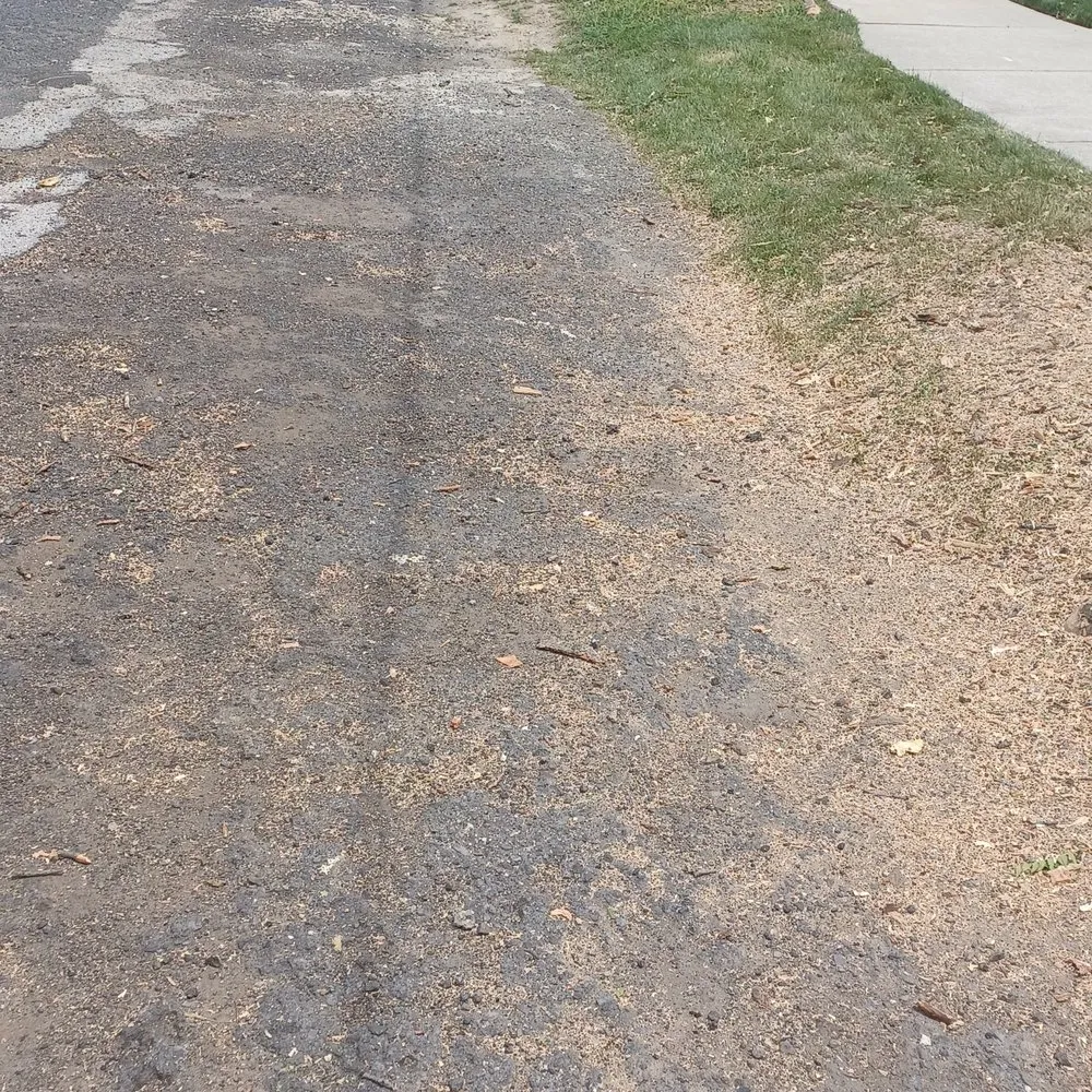 Expert lawn mowing service for beautiful yards in Garden City, MI by Gray's Outdoor Services