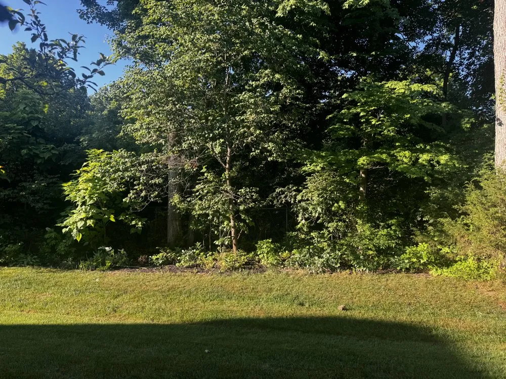 Trusted garden landscaping for residential properties across Hamilton, OH - Grayscaping