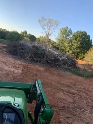 Grayson county landclearing