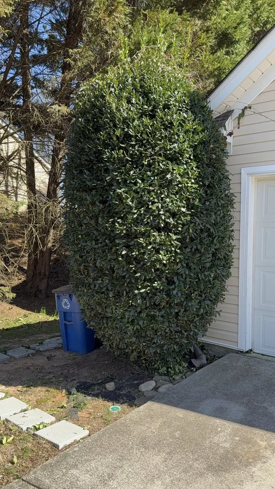 Custom lawn care service for residential properties across Snellville, GA - Grayson Lawn Solution