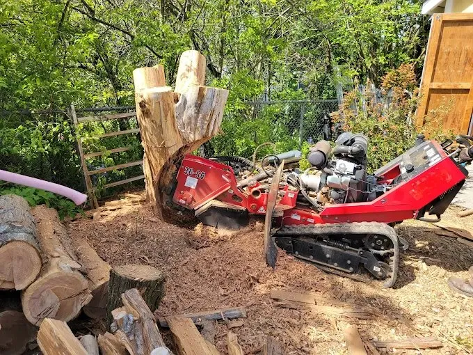 Top-rated outdoor landscaping in Camano, WA - Graystone Tractor Services