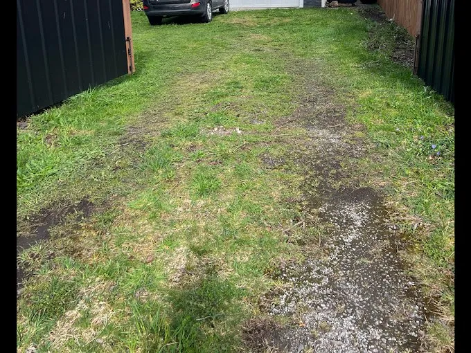 Top-rated yard cleanup service for homes across Camano, WA - Graystone Tractor Services