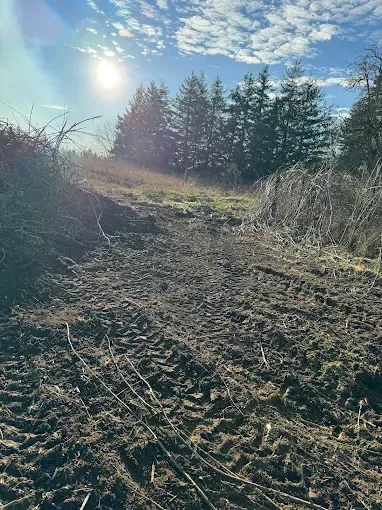 Trusted lawn mowing service near you in Camano, WA by Graystone Tractor Services