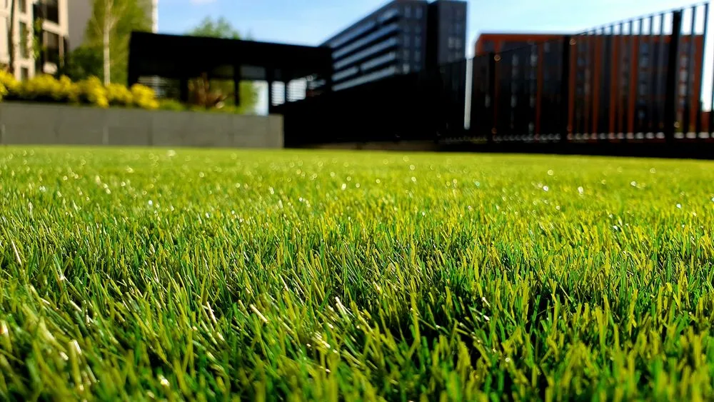 Custom lawn mowing service for year-round maintenance across Santa Rosa Beach, FL - Grayt Land Care