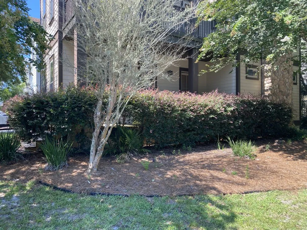 Affordable yard maintenance for residential properties in Santa Rosa Beach, FL by Grayt Land Care