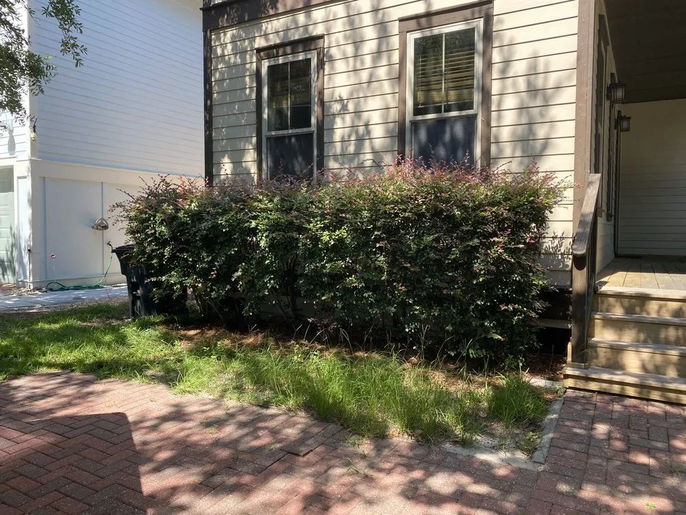 Custom lawn care service for residential properties across Santa Rosa Beach, FL - Grayt Land Care
