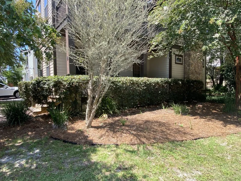 Trusted garden landscaping in Santa Rosa Beach, FL - Grayt Land Care