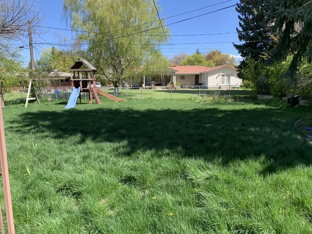 Top-rated yard cleanup service for year-round maintenance across North Logan, UT - Grayze Lawn Care Services
