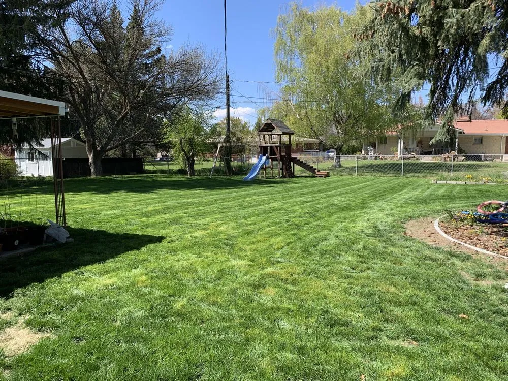 Top-rated lawn care service for beautiful yards across North Logan, UT - Grayze Lawn Care Services